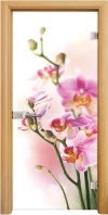 Стъклена Врата Standart Print G 13-2 Светъл Дъб