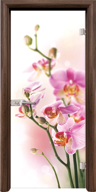 Стъклена Врата Standart Print G 13-2 Орех