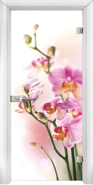 Стъклена Врата Standart Print G 13-2 Бял