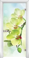 Стъклена Врата Standart Print G 13-3 Green Бял