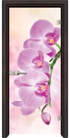 Стъклена Врата Standart Print G 13-3 Pink Венге