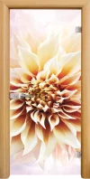 Стъклена Врата Standart Print G 13-5 Златен Дъб